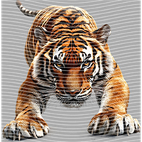 Animal Integration-DW 1806